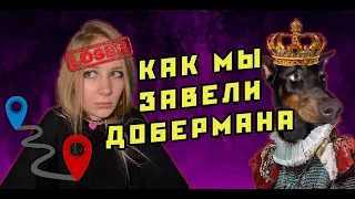 СОБАКА УБИЙЦА | ЗАВЕЛИ ЩЕНКА ДОБЕРМАНА | ОТВЕРНУЛИСЬ БЛИЗКИЕ