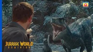 Jurassic World Domínio (2022) - O Filhote de Blue | Cena