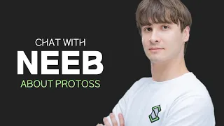 Neeb 'We lost many top Protoss players' - Crank from Team Vitality