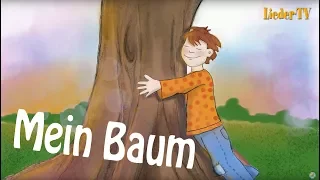 Mein Baum • Kinderlied mit Text zum Mitsingen •  Meine neuen Kinderlieder