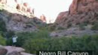 Moab 2004 - Petroglyphs, Negro Bill, The Storm!