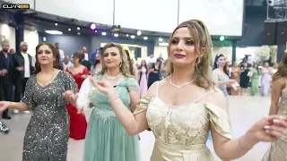 Imad Selim   Hazem & Keder  Kurdische Hochzeit  dliarfilm