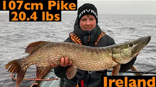 Monster Pike fishing from Lough Derg Ireland with the savage gear 4D line thru trout 🇮🇪