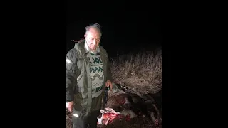 Депутата Валерия Рашкина поймали, когда тот вывозил из леса тушу убитого лося.