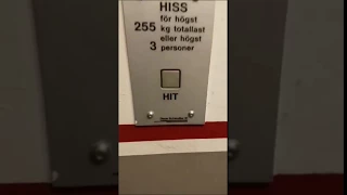 Why do all tourists hit the swedish elevatorbuttons