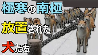 【南極物語】戦後日本の悲しい事情で南極に犬を置き去りに