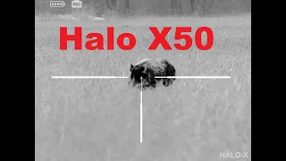 Halo X50 Review