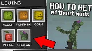 🤯 HOW TO GET a CACTUS in Melon Playground!