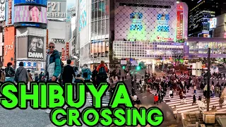 The famous Shibuya Crossing - Tokyo | Japan