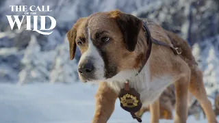 The Call of the Wild | New Lead Dog Clip | 20th Century Studios