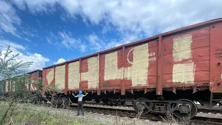 Граффити на товарках во весь вагон / Graffiti on fellow passengers in the whole car