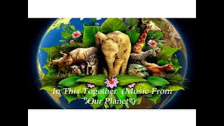 Ellie Goulding  -  In This Together  (Music From "Our Planet") 🎵