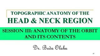 ANATOMY OF THE ORBIT, EYE AND VISUAL PATHWAY PART I - THE ORBIT AND ITS CONTENTS