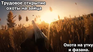 Охота в Балхашском районе Алматинской области. Утка, фазан и открытие на зайца.