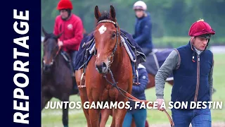 GRAND STEEPLE-CHASE DE PARIS : JUNTOS GANAMOS FACE A SON DESTIN