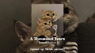 A Thousand Years - James Arthur (speed up tiktok)