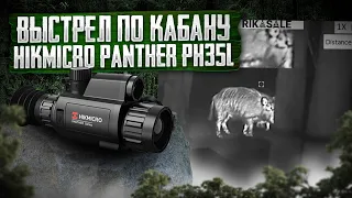 Прицел HIKMICRO Panther PH35L выстрел по кабану