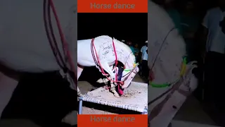 Horse dance#shorts#shortvideo#horse#chunni m#horse 🐴🐴🐴🐴🐴