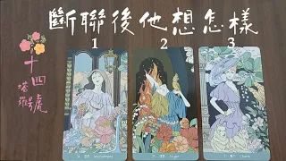 塔羅占卜: 斷聯後他想怎樣，想主動破冰嗎？還是繼續斷聯？身邊是否有人？內心隱藏的話（字卡）