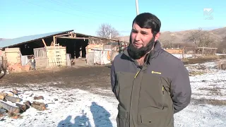 Сельский кластер - Фермерское хозяйство Замрата Саитова (11.12.2019)