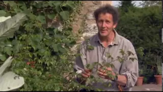 Monty Don Demonstrates How to do Hardwood Cuttings with Roses in the Autumn...