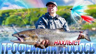 Get Ready for the Unexpected: Trophy Fishing on the Kola Peninsula! [4K]