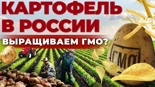 Мифы о картошке | Почему Диетологи не любят Картофель | Стоит ли бояться ГМО? Андрей Даниленко