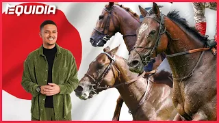 🚨⏭ AU COEUR DE LA FOLIE DES COURSES DE CHEVAUX AU JAPON 🏇