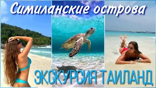 Экскурсия на СИМИЛАНСКИЕ ОСТРОВА 🌴 Таиланд 🇹🇭 2024 #thailand