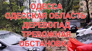 Одесса  .Ураганный ветер ..Деревопад.Что происходит ? Я была удивлена  Это надо видеть 💥