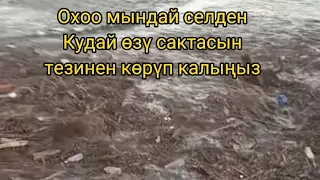 Жамгыр жаап сел катуу болду тез көрүп калыңыздар шок кабар азыр болду