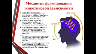 "Мозг и Ацетилхолин"(курение , зависимость от никотина )-профессор МГУ Дубынин В.А.