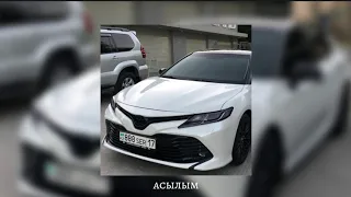 V $ X V PRiNCE - АСЫЛЫМ (караоке/текст) [TikTok Version]