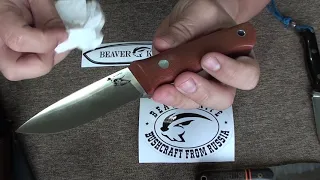 Beaver Knife Pointer. Первое впечатление