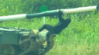 Танковый биатлон 2021 / Tank Biathlon 2021 Best Moments