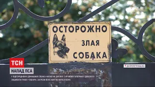 У Дніпропетровській області сторожовий собака ледь не загриз дитину