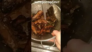 ХЛЕБ ИЗ СОСНОВОЙ КОРЫ.