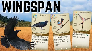 Wingspan Gameplay: Who Needs Ravens?