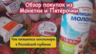 Что едят Пенсионеры в Российской Глубинке. Обзор продуктов из Монетки и Пятёрочки