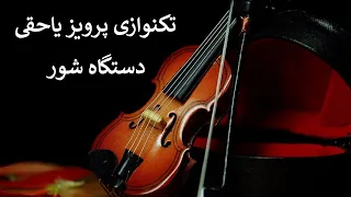 Violin Parviz Yahaghi تکنوازی پرویز یاحقی در شور