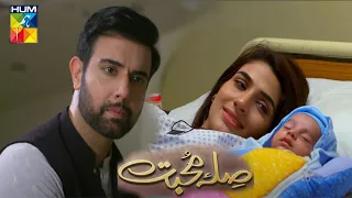 Sila E Mohabbat Last episode  - HUM TV DRAMAS - #sila_e_mohabbat #epLast by drama best review