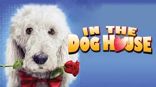 In The Dog House | Hilarious Comedy For the Whole Family