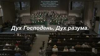 Дух Господень, Дух разума.