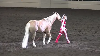 Liberty with California - Sarah Thompson - Night of the Horse 2019 - Del Mar National Horse Show
