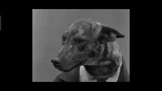 A Dogville Comedy - An All Barkie Hot Dog (1929) (Complete Pre Code Movies) Short And Comedy