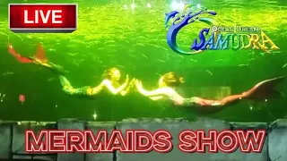 Live performance Mermaid Show from Ocean dreams samudra Ancol #mermaid #ancol #viral