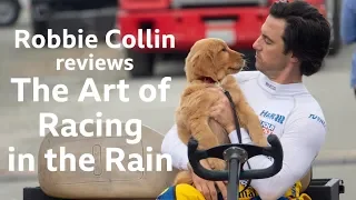 The Art of Racing in the Rain reviewed by Robbie Collin