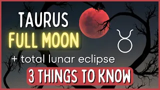 Taurus Full Moon November 2022 | EVERYTHING You Need to Know About the Beaver’s Moon Lunar Eclipse!