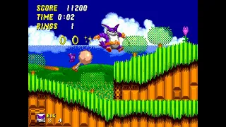 Sonic The Hedgehog 2 Pink Edition Emerald Hill Zone 2 (Big the Cat)(with Cream)(Search for Froggy)