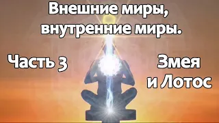 Внешние миры, внутренние миры  Часть 3.  Змея и лотос (Russian)